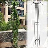 Rankhilfe Für Kletterpflanzen, Rankgitter Metall, Regenschirm-Spalierturm,...