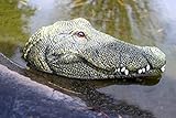LB H&F Teichfigur Krokodil Kopf Schwimmtier Alligator Dekofigur Gartenfigur...