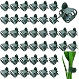 laeeyin 100 Stück pflanzenclips Orchideen Klammern, 1.5 cm Dunkelgrüne...