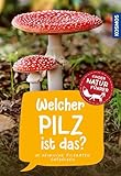 Welcher Pilz ist das? Kindernaturführer: 85 heimische Pilzarten entdecken