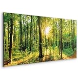 murando - Akustikbild Wald 225x90 cm 5 tlg Leinwand Bilder Akustikschaum...