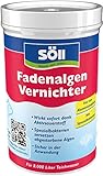 Söll 80591 FadenalgenVernichter mit Aktivsauerstoff, 250 g -...