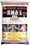 Japan Bonsai-Erde Akadama 1-3 mm Ibaraki hart 4 Liter (Nicht original...