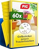 PIC Gelbsticker Trauermücken - 60x Gelbtafeln gegen Trauermücken,...