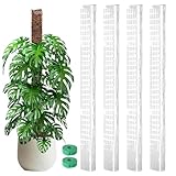 Sionhiuo Moosstab Für Die Monstera Pflanze | Vertikale Wachstumsstützen |...