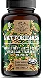 Nattokinase 100mg (20000 FU/g) - WICHTIG: Magensaftresistente -Slow...