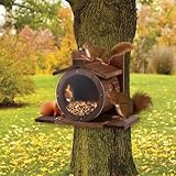 Futterhaus Eichhörnchen Wetterfest mit Runden Transparentes Fenster...