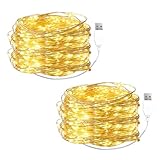 ENLACE 2 Stück LED Lichterkette mit USB, 5M 50 LED Kupferdraht...