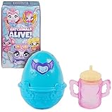 Hatchimals Alive Überraschungs Pack - mit einem selbst-schlüpfenden Ei...