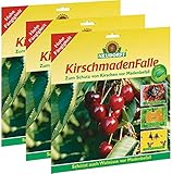 3 x 7 (21 Stk) Neudorff KirschmadenFalle Insektizidfrei