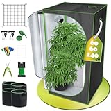 Premium Growzelt 60x60x140 cm für Indoor Lichtdicht, Reflektierende,...