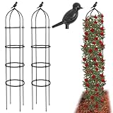 2 Stücke Rankhilfe Rankobelisk Metall 175cm,Witterungsbeständige Garten...