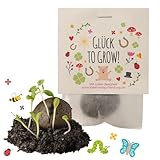 10x 'Glück to grow' Samenbomben/Glücksbringer/kleine Geschenke Kollegen...