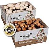 Hawlik Pilzbrut - Champignon Zuchtset - 2er Pilzzuchtbox Champignons...