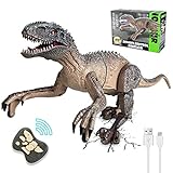 Kizmyee Dinosaurier Spielzeug, Dino Ferngesteuertes Velociraptor für...