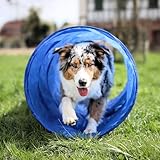 vabiono Hunde Agility Tunnel - Hundetunnel 55x150cm Spieltunnel...