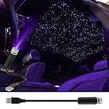 Weinsamkeit LED Auto Decke Starlight, Innen Atmosphäre Licht Mehrere Modi,...