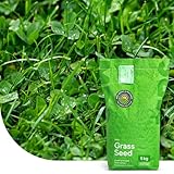 Clover Lawn: Grassamen mit Mikroklee | 1 kg - 50m2 | Ganzjährig grüner...