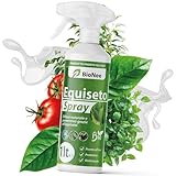 Schachtelhalmspray 1 l | gebrauchsfertig | vorbeugender natürlicher Schutz...