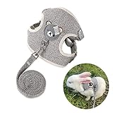 Verstellbares Kaninchen Leine und Geschirr Set, Haustier Zubehör für...