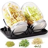 FoiiLiio Sprossenglas Keimglas 2er Set,1000ml keimgläser für Sprossenglas...