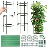 Tomaten Rankhilfe, 141 PCS Gurken Rankhilfe Mit Verstellbarer Höhe,...