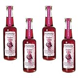 Fruchtwerker | Himbeer & Essig | Mit Saft aus echten Früchten| 4er Pack |...