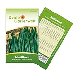 Schnittlauch Medium Leaf Samen - Allium schoenoprasum - Schnittlauchsamen -...