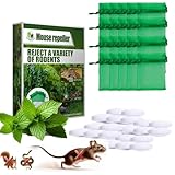 Generisch 20 Stück Rattenvertrieb Pillen Pack,Ratten...