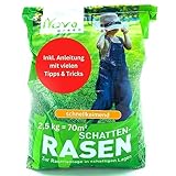 halmland® Premium Rasensamen Schattenrasen schnellkeimend Sommer 2,5kg =...