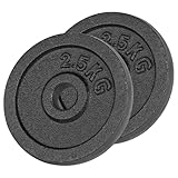 Sport-Tec Hantelscheibe aus Gußeisen 0,5kg bis 20kg, Bohrung Ø 3cm,...