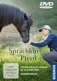 Sprachkurs Pferd: Pferdesprache lernen in 12 Schritten