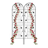 Relaxdays Rankgitter, 2er Set, HxB 180 x 50 cm, Metall, Rankhilfe für...