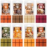 Salubrito Herbst Duftwachs für Duftlampe, Wax Melts Sojawachs...