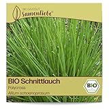 Samenliebe BIO Schnittlauch Samen Polycross Küchenkräuter Gartenkräuter...