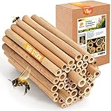 BEESI 100x Bambusröhrchen für Insektenhotel I 14 cm Länge I Bambus für...