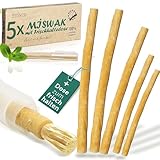 Miswak Zahnbürste [5 Stück] + Frischhalte-Dose - Optimal für Unterwegs -...
