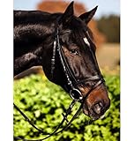 Kerbl 32172 Trensen-Zaum Standard Leder für Warmblut, schwarz