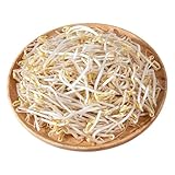 sprossen samen - Saatgut Sojasprossen exotische pflanzen microgreens samen...
