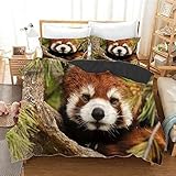 NUEYSP Bettwäsche 155x220 Roter Panda Bettwäsche-Sets 3D-Motiv,...