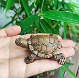 WOO MANTO Schildkröte Figur 6,5cm lang - kleine Tierfigur aus Harz,...