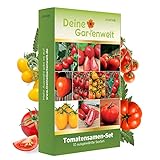 Tomatensamen Set 10 Sorten Tomaten Samen - Tomaten Saatgut Sortiment...