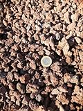 Der Naturstein Garten Lava Mulch 8–16mm für Garten und Aquarium,...