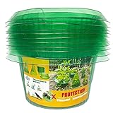 VDYXEW 10 Stücke Schneckenkragen,Schnecken-Schutz für Ihre Salatpflanzen...