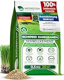 Rasensamen schnellkeimend Sommer 0,5kg 20qm - TEST SEHR GUT - Schnell...