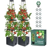 MYMULIKE 2 Stück Tomatentopf mit Rankhilfe, 145 cm Selbstbewässerung...