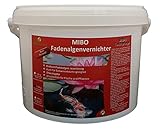 MIBO Fadenalgenvernichter 3000 g für 90.000 Liter Teichwasser Fadenalgen...