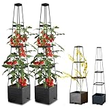 Tomaten Rankhilfe Obelisk mit Blumenkasten, 2 Stück Tomatentopf...