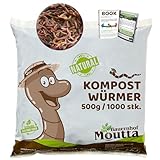 1,000 Stk. Kompostwürmer (500g) | Regenwürmer Eisenia, kompostieren Sie...