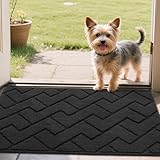 Biscpro Fußmatte Dunkelgrau 50x80cm Innen und Außen, Waschbar Fussmatt,...